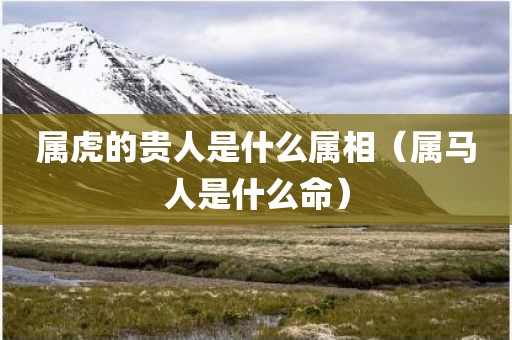 属虎的贵人是什么属相（属马人是什么命）