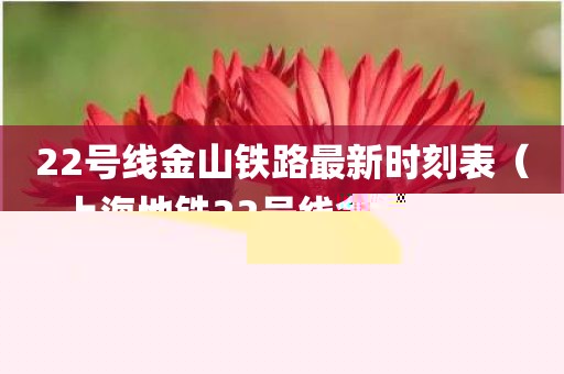 22号线金山铁路最新时刻表（上海地铁22号线金山铁路）