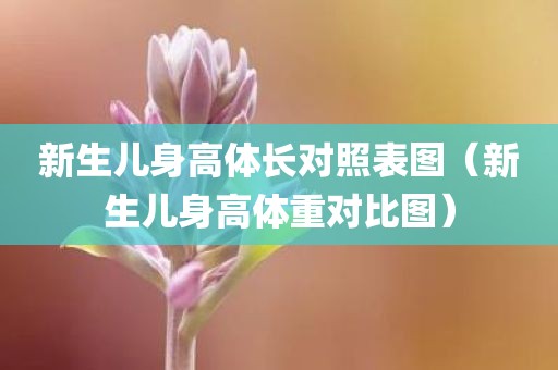 新生儿身高体长对照表图（新生儿身高体重对比图）