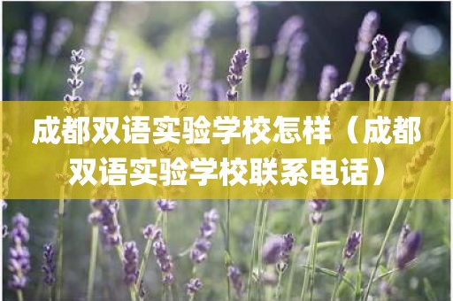 成都双语实验学校怎样（成都双语实验学校联系电话）
