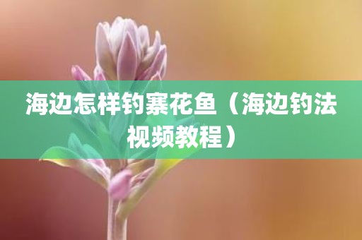 海边怎样钓寨花鱼（海边钓法视频教程）
