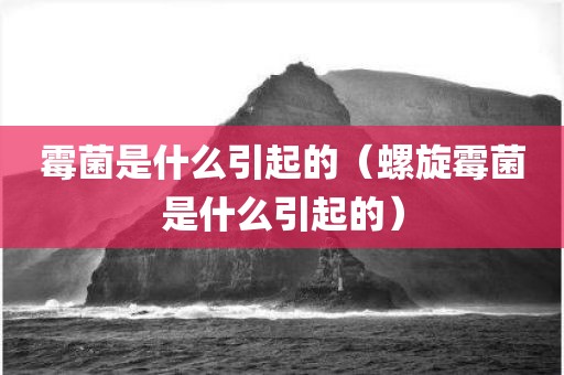 霉菌是什么引起的（螺旋霉菌是什么引起的）
