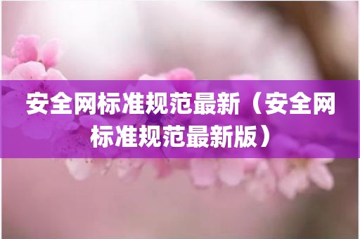 安全网标准规范最新（安全网标准规范最新版）