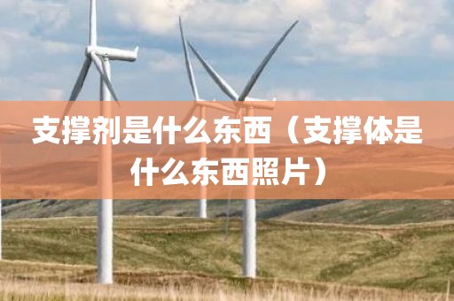支撑剂是什么东西（支撑体是什么东西照片）
