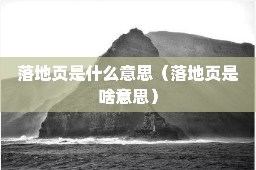 落地页是什么意思（落地页是啥意思）