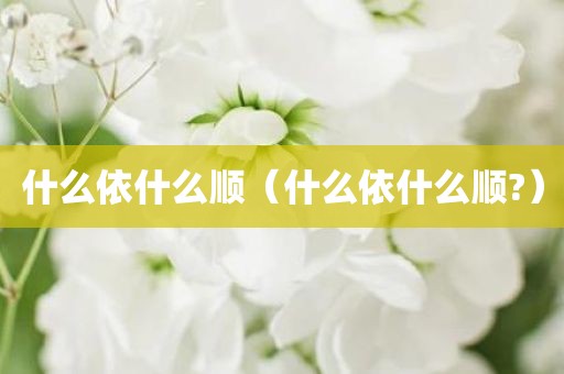 什么依什么顺（什么依什么顺?）