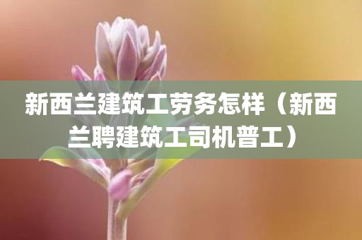 新西兰建筑工劳务怎样（新西兰聘建筑工司机普工）