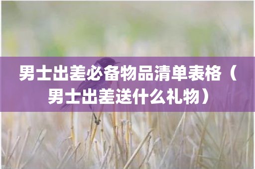 男士出差必备物品清单表格（男士出差送什么礼物）