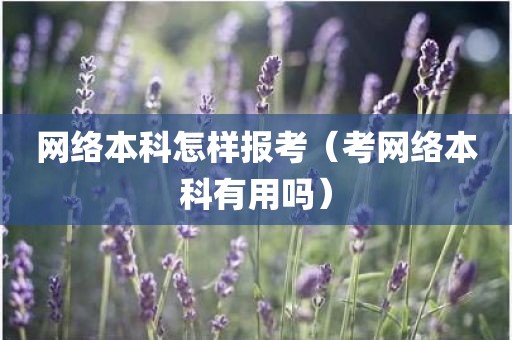 网络本科怎样报考（考网络本科有用吗）