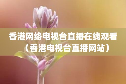 香港网络电视台直播在线观看(香港电视台直播网站)