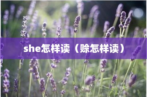 she怎样读（赊怎样读）