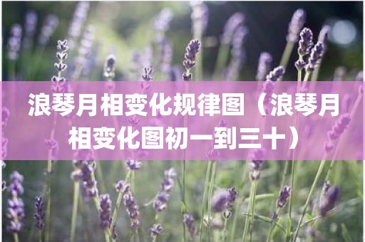 浪琴月相变化规律图（浪琴月相变化图初一到三十）