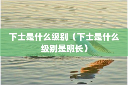 下士是什么级别（下士是什么级别是班长）