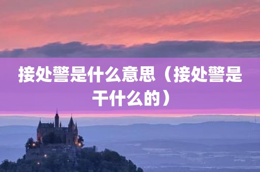接处警是什么意思（接处警是干什么的）