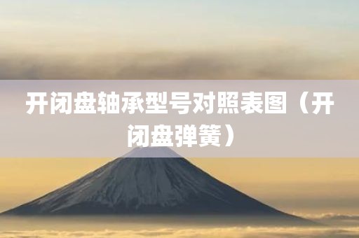 开闭盘轴承型号对照表图（开闭盘弹簧）
