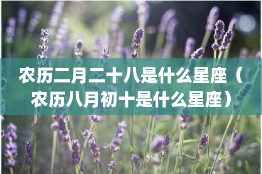 农历二月二十八是什么星座（农历八月初十是什么星座）