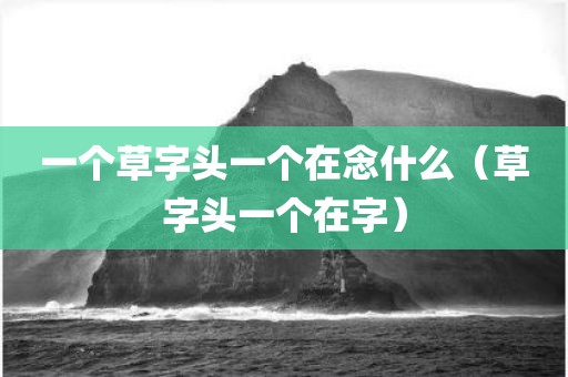 一个草字头一个在念什么（草字头一个在字）