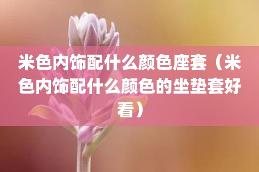 米色内饰配什么颜色座套(米色内饰配什么颜色的坐垫套好看)