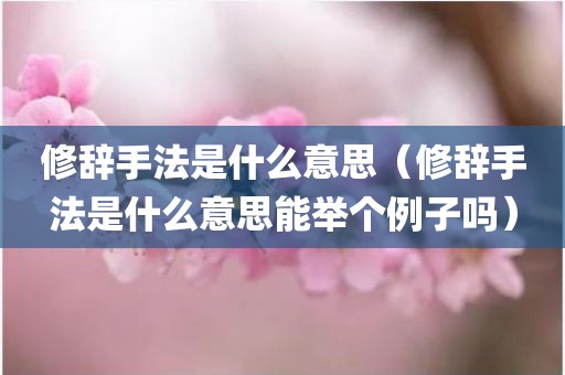 修辞手法是什么意思（修辞手法是什么意思能举个例子吗）