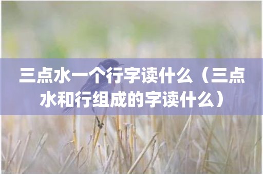 三点水一个行字读什么（三点水和行组成的字读什么）