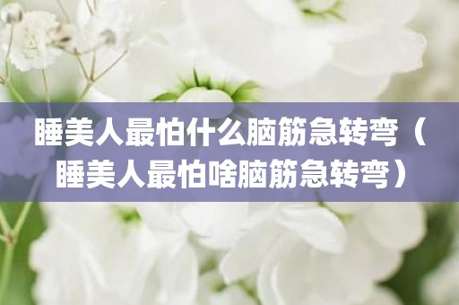 睡美人最怕什么脑筋急转弯（睡美人最怕啥脑筋急转弯）