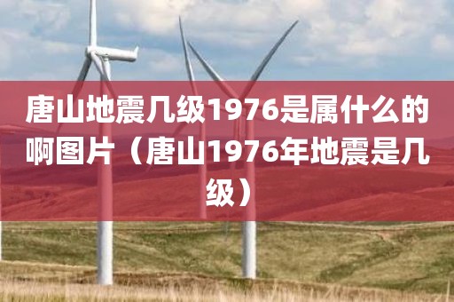 唐山地震几级1976是属什么的啊图片（唐山1976年地震是几级）