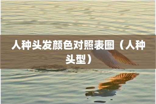 人种头发颜色对照表图（人种头型）