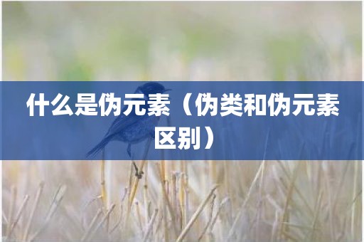 什么是伪元素（伪类和伪元素区别）