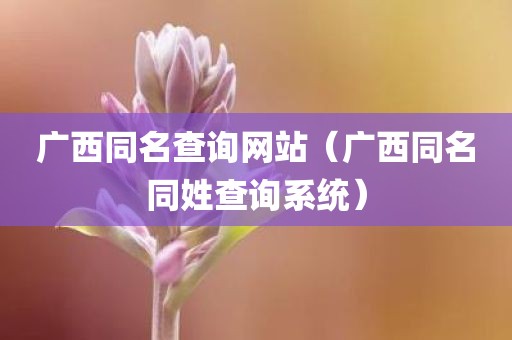 广西同名查询网站(广西同名同姓查询系统)