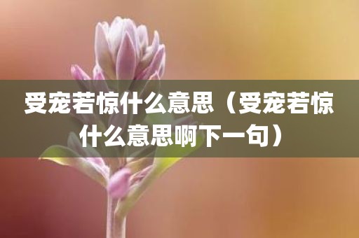 受宠若惊什么意思（受宠若惊什么意思啊下一句）