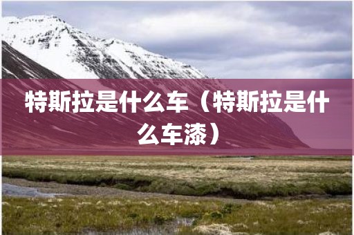 特斯拉是什么车（特斯拉是什么车漆）
