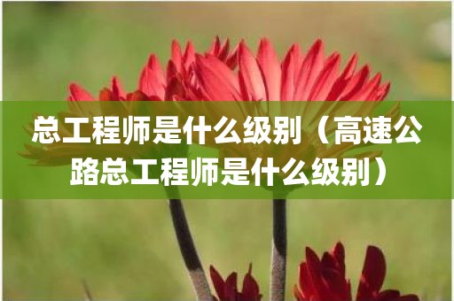 总工程师是什么级别（高速公路总工程师是什么级别）
