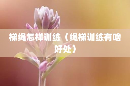 梯绳怎样训练（绳梯训练有啥好处）