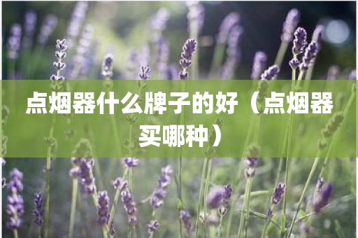 点烟器什么牌子的好（点烟器买哪种）