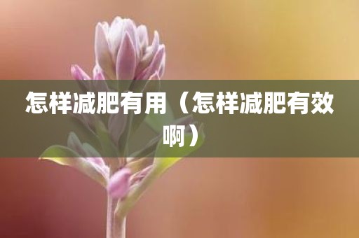 怎样减肥有用（怎样减肥有效啊）