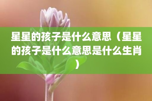 星星的孩子是什么意思（星星的孩子是什么意思是什么生肖）
