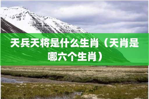 天兵天将是什么生肖（天肖是哪六个生肖）