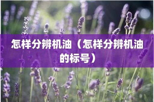 怎样分辨机油（怎样分辨机油的标号）