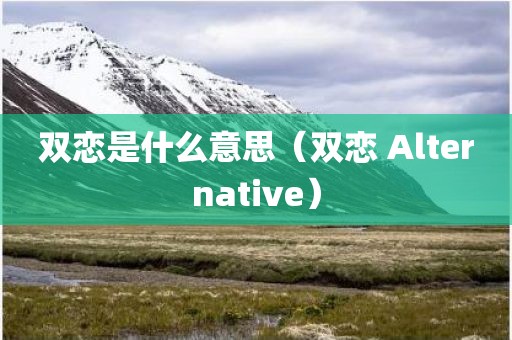 双恋是什么意思（双恋 Alternative）