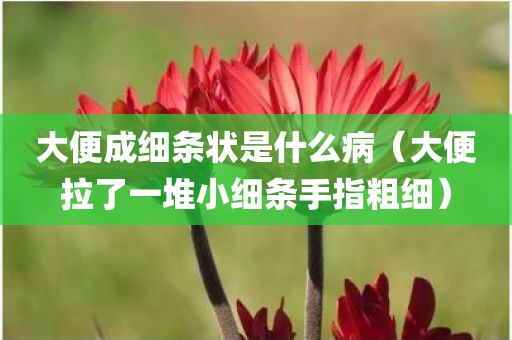 大便成细条状是什么病（大便拉了一堆小细条手指粗细）