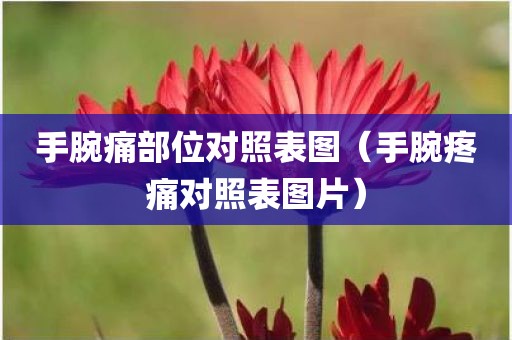 手腕痛部位对照表图（手腕疼痛对照表图片）