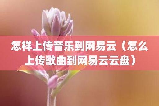 怎样上传音乐到网易云（怎么上传歌曲到网易云云盘）