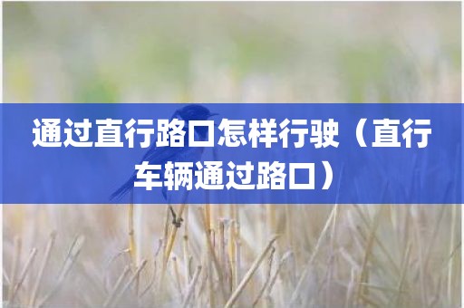 通过直行路口怎样行驶（直行车辆通过路口）