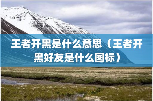 王者开黑是什么意思(王者开黑好友是什么图标)