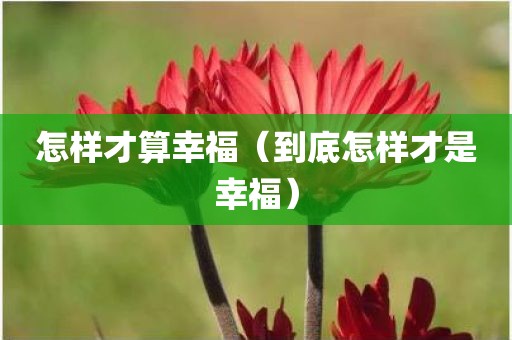 怎样才算幸福（到底怎样才是幸福）