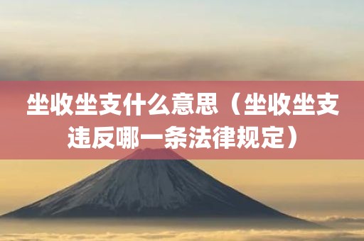 坐收坐支什么意思（坐收坐支违反哪一条法律规定）