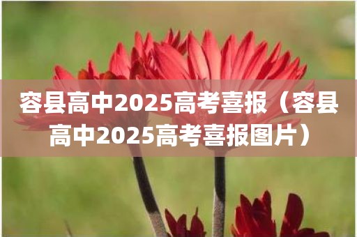 容县高中2025高考喜报（容县高中2025高考喜报图片）