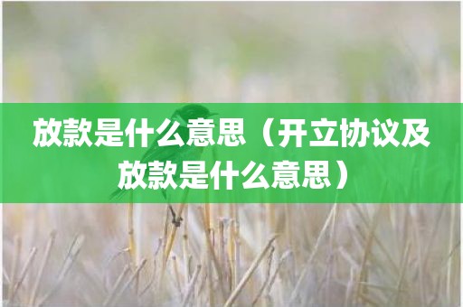 放款是什么意思（开立协议及放款是什么意思）