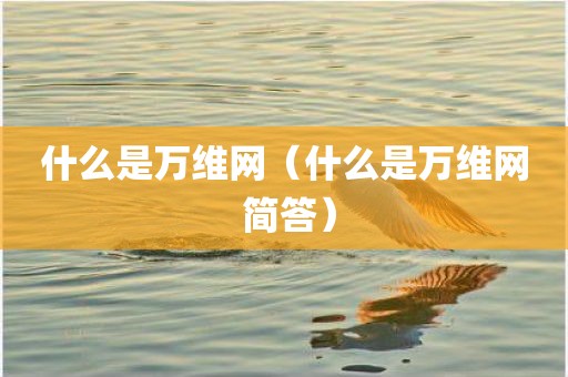 什么是万维网（什么是万维网 简答）