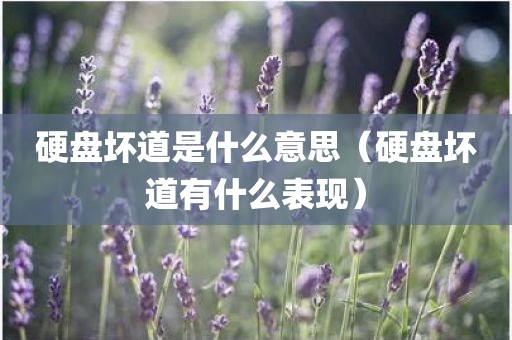 硬盘坏道是什么意思（硬盘坏道有什么表现）